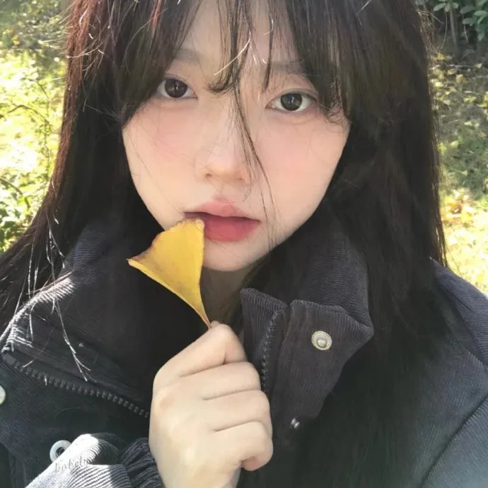 鳄之泪